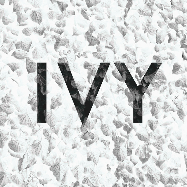Ivy