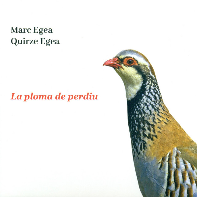 La Ploma de Perdiu cover art