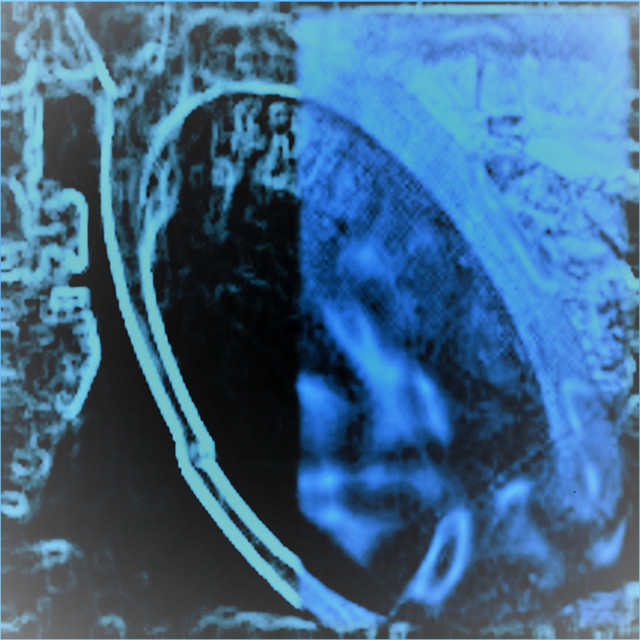 Desolation of the Bells cover art