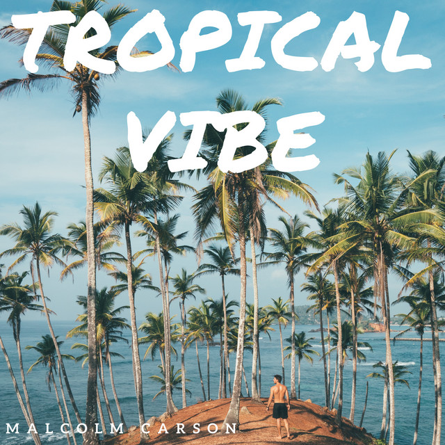 Tropical Vibe cover art