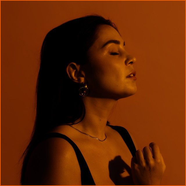 Sulle tehty cover art