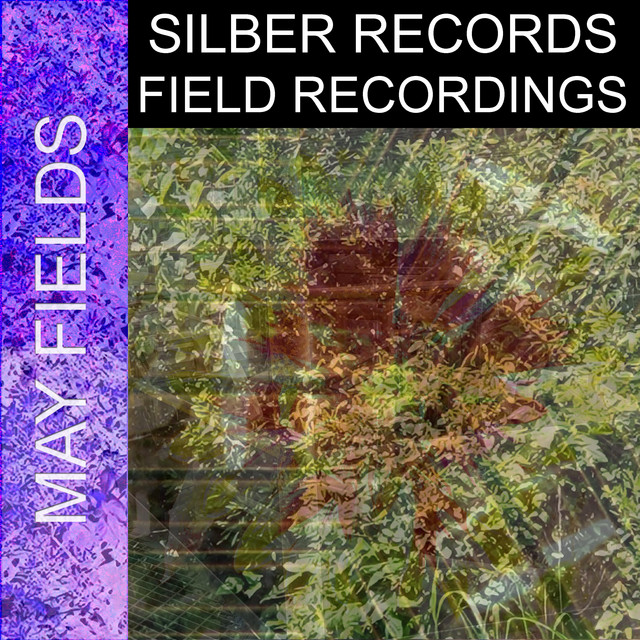 May Fields cover