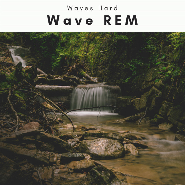 2022 Wave REM cover art