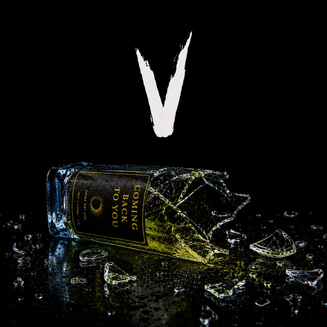 Coming Back To You album image