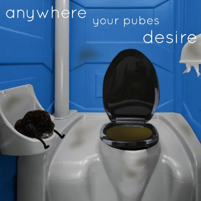 Anywhere Your Pubes Desire cover art