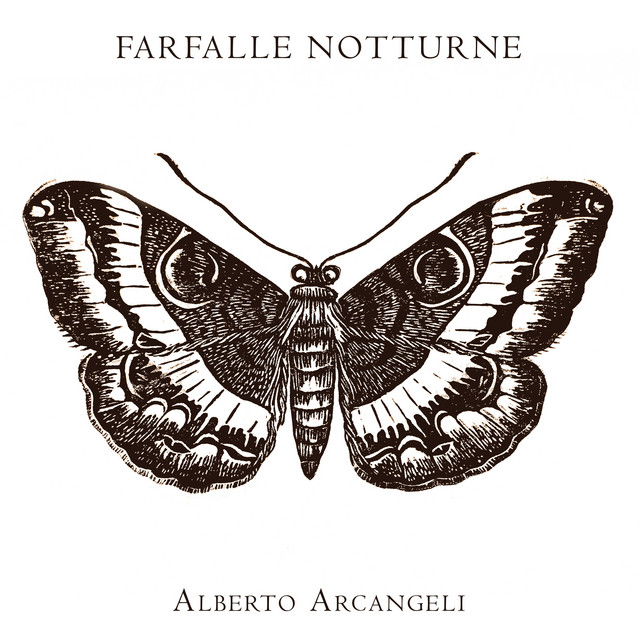 Farfalle Notturne cover