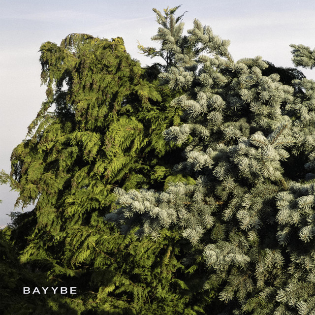 Bayybe cover art