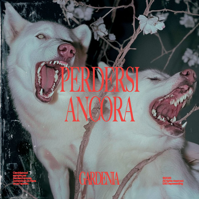 Perdersi ancora cover art