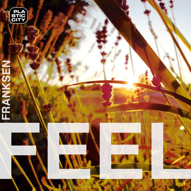 Busta Feel cover art
