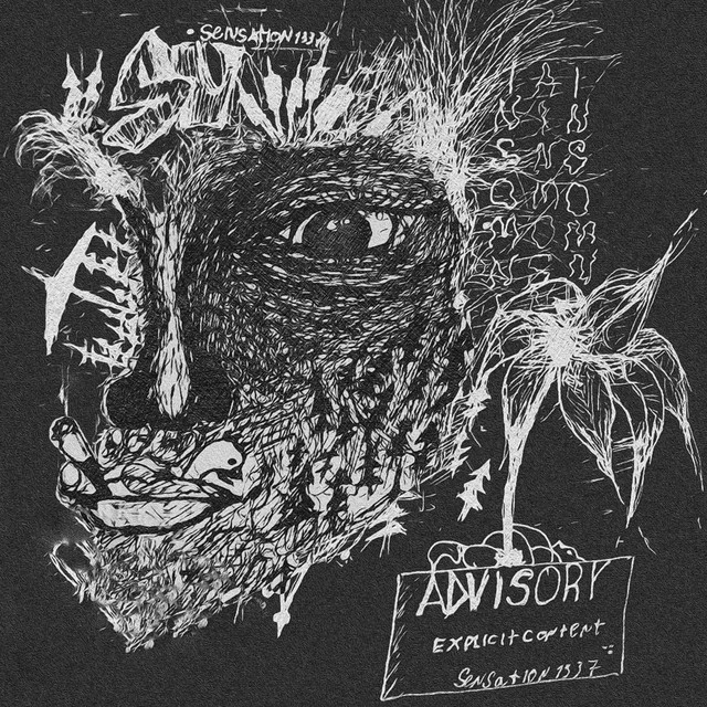 junkie's license cover art