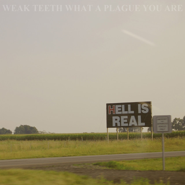 What a Plague You Are (Remastered) cover art