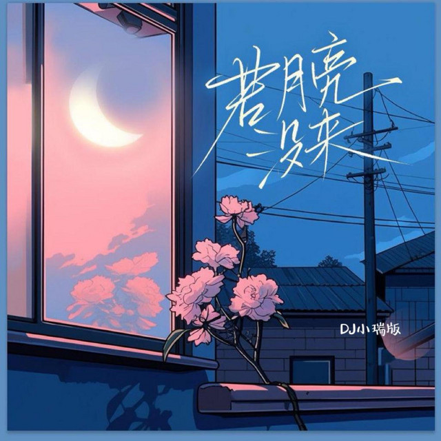 若月亮没来 - DJ版
