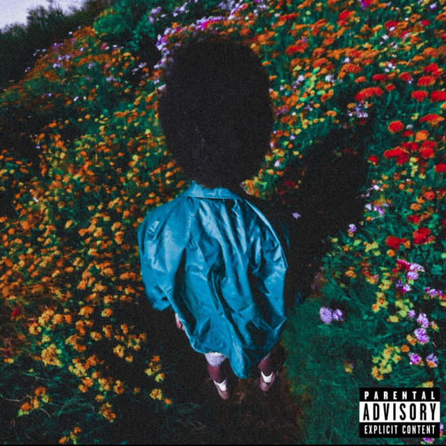 $aGE cover art
