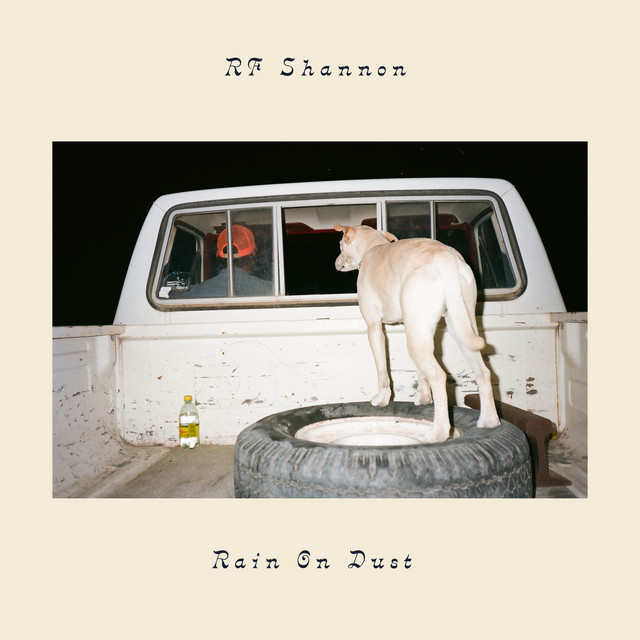 Rain On Dust cover art