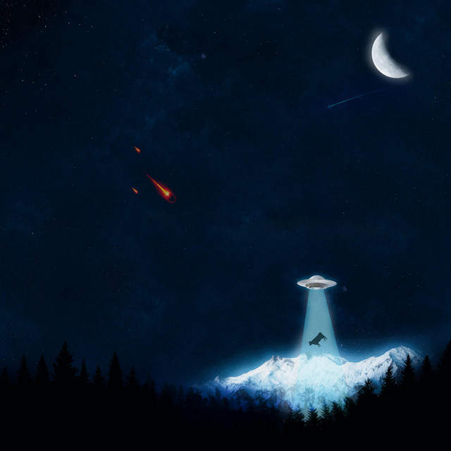 night sky cover art
