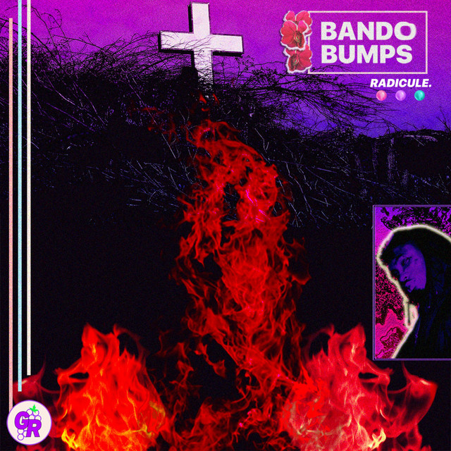 Bando Bumps cover art