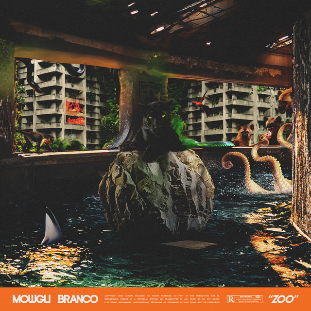 Zoo (feat. Branco) cover art
