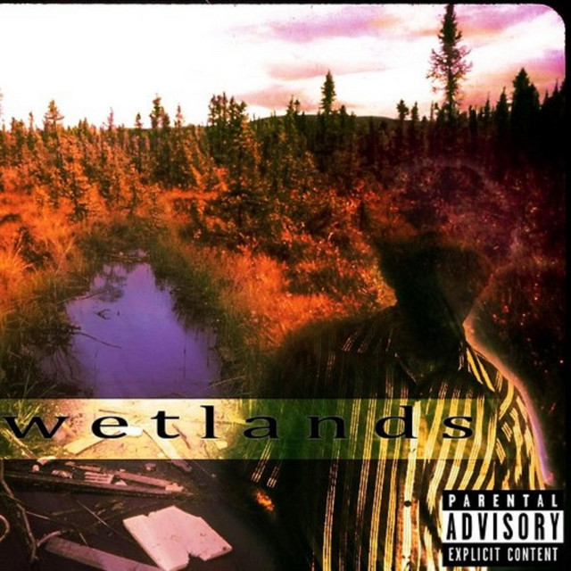 Wetlands cover art