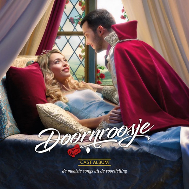 Doornroosje (De Musical) cover