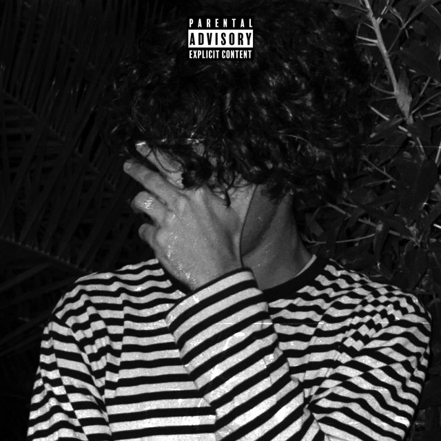 Darling, He lied cover art