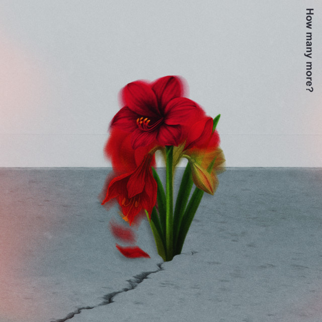How many more? cover art