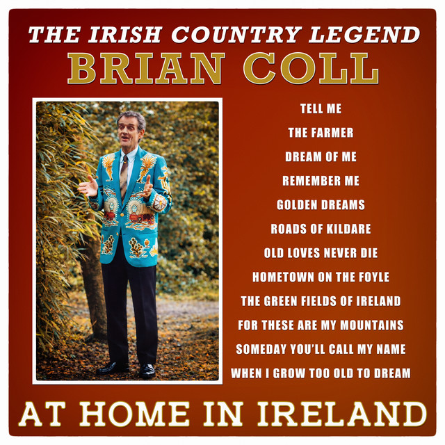 At Home In Ireland cover art
