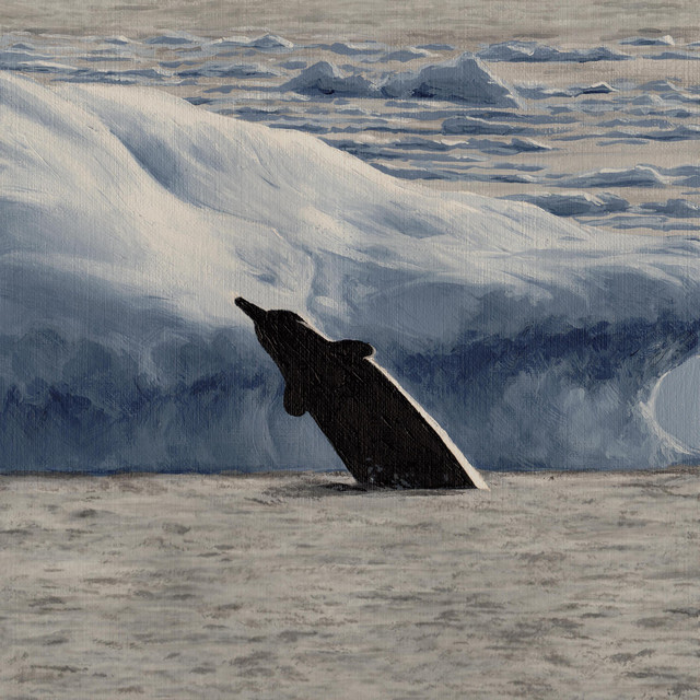 painting whales cover art
