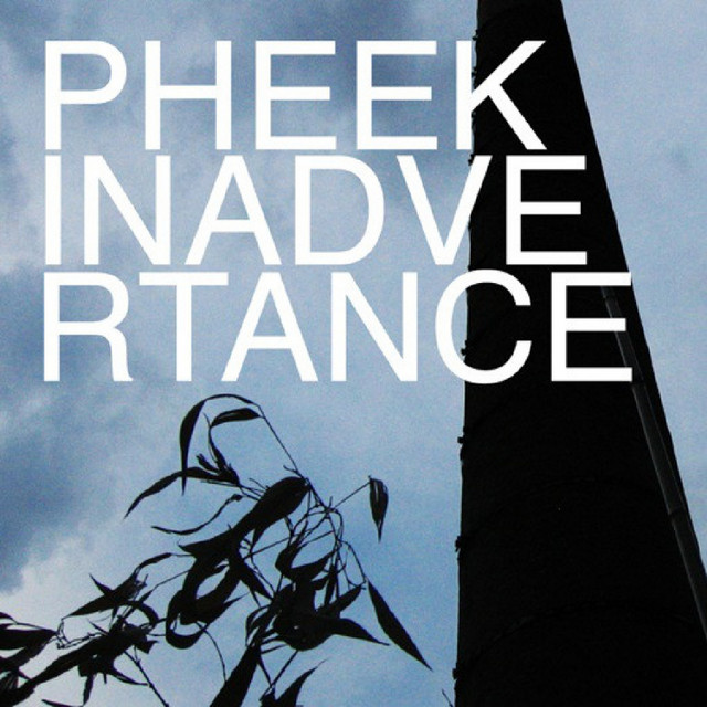 Inadvertance cover art