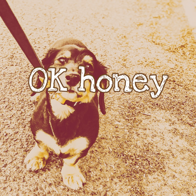 OK honey cover art