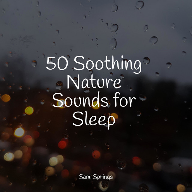 50 Soothing Nature Sounds for Sleep - Album by Regen zum Schlafen | Spotify