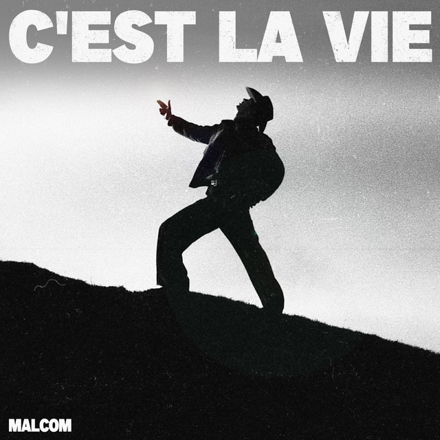 C'est La Vie cover art
