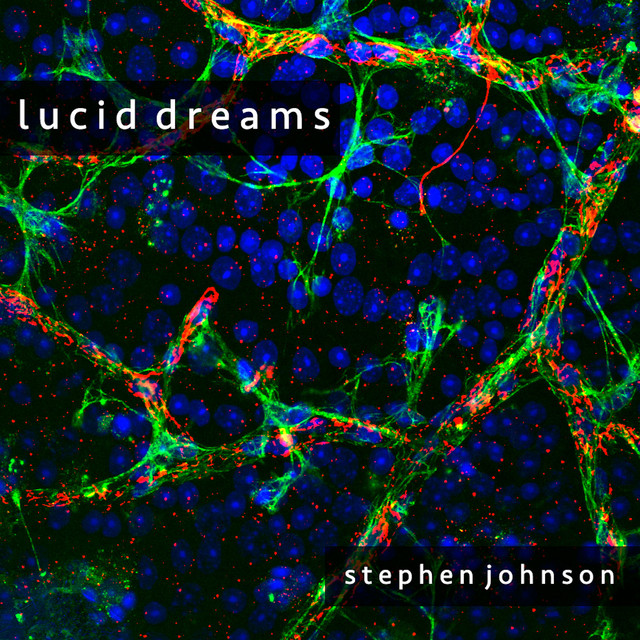 Stephen Johnson Photo