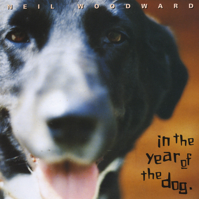 In the Year of the Dog cover art