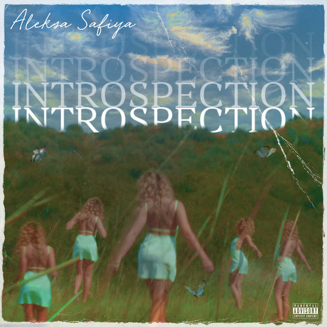 Introspection cover art