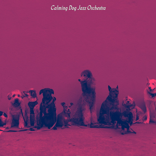 Music for Walking Dogs - Energetic Vibraphone and Tenor Saxophone cover art