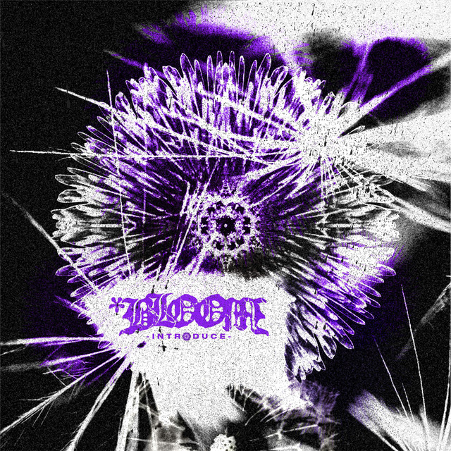 Introduce cover art
