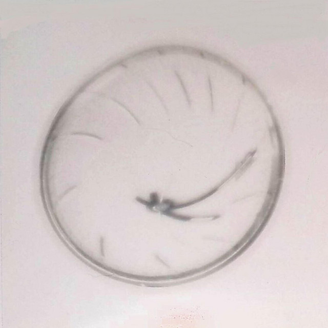 Voyageur du temps/Time traveler cover art