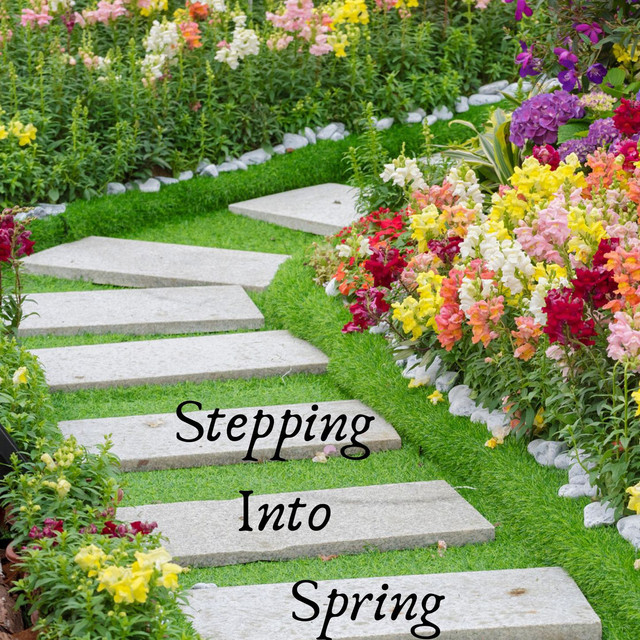 Stepping Into Spring cover art