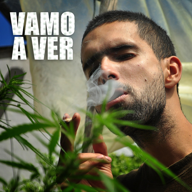 Vamo a Ver cover art