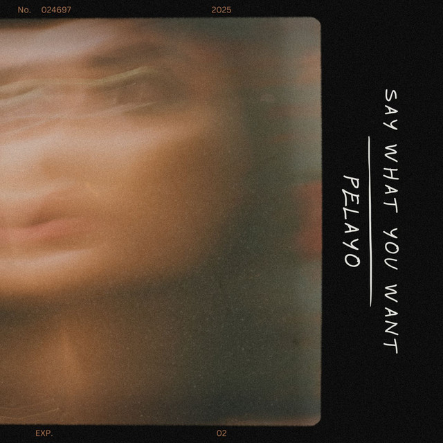 Say What You Want cover