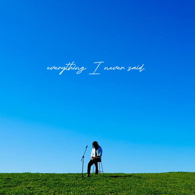 Everything I Never Said. cover art