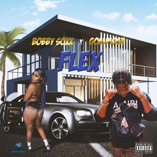 Flex cover