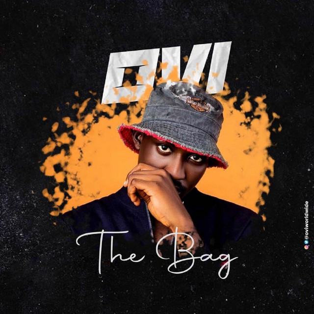 Cover of The Bag by Ovi