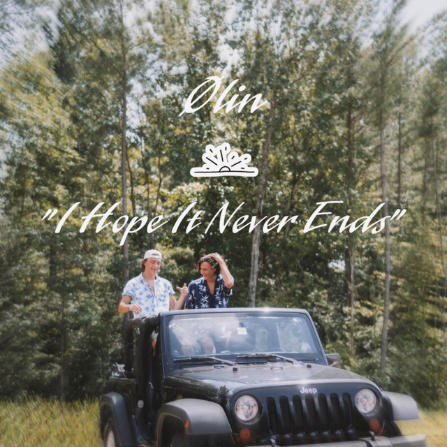 I Hope It Never Ends cover art