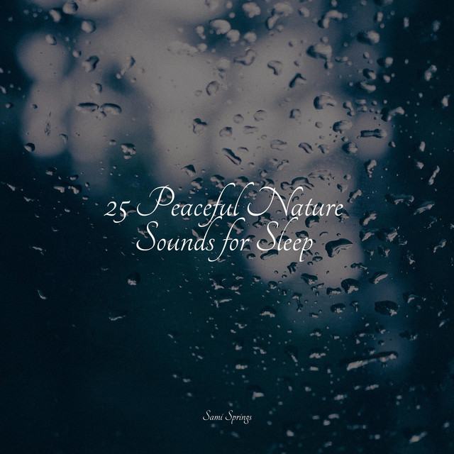 25 Peaceful Nature Sounds for Sleep - Album by Best Relaxing SPA Music ...