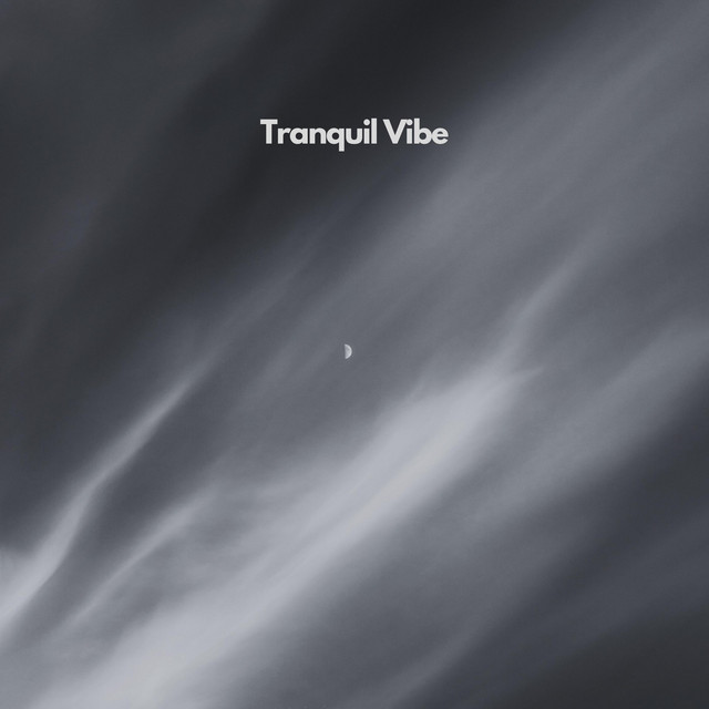 Tranquil Vibe by Noise Library Samples Bank