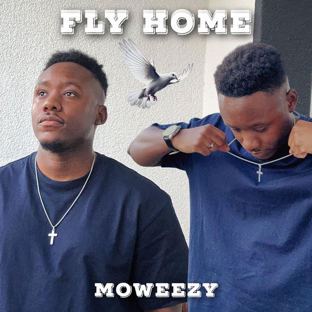 Fly Home cover art