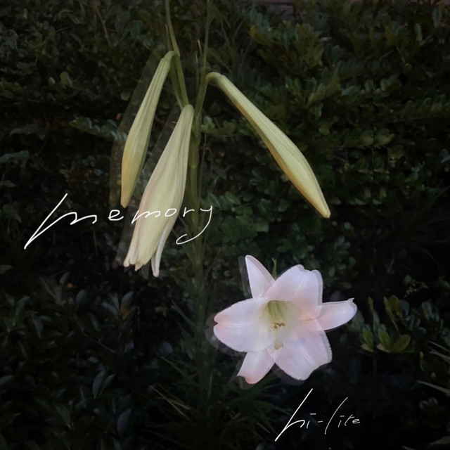 memory cover art