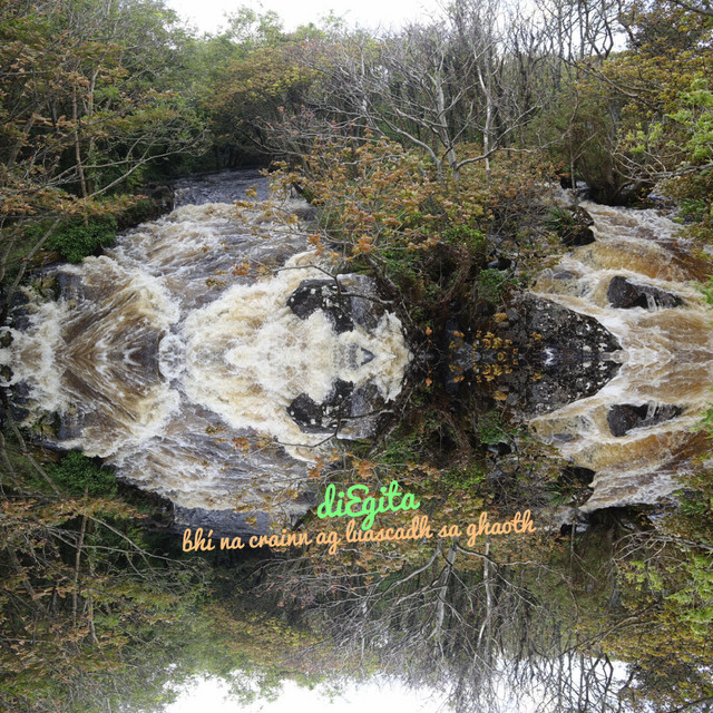 bhí na crainn ag luascadh sa ghaoth