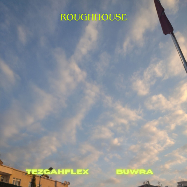 Roughhouse cover art
